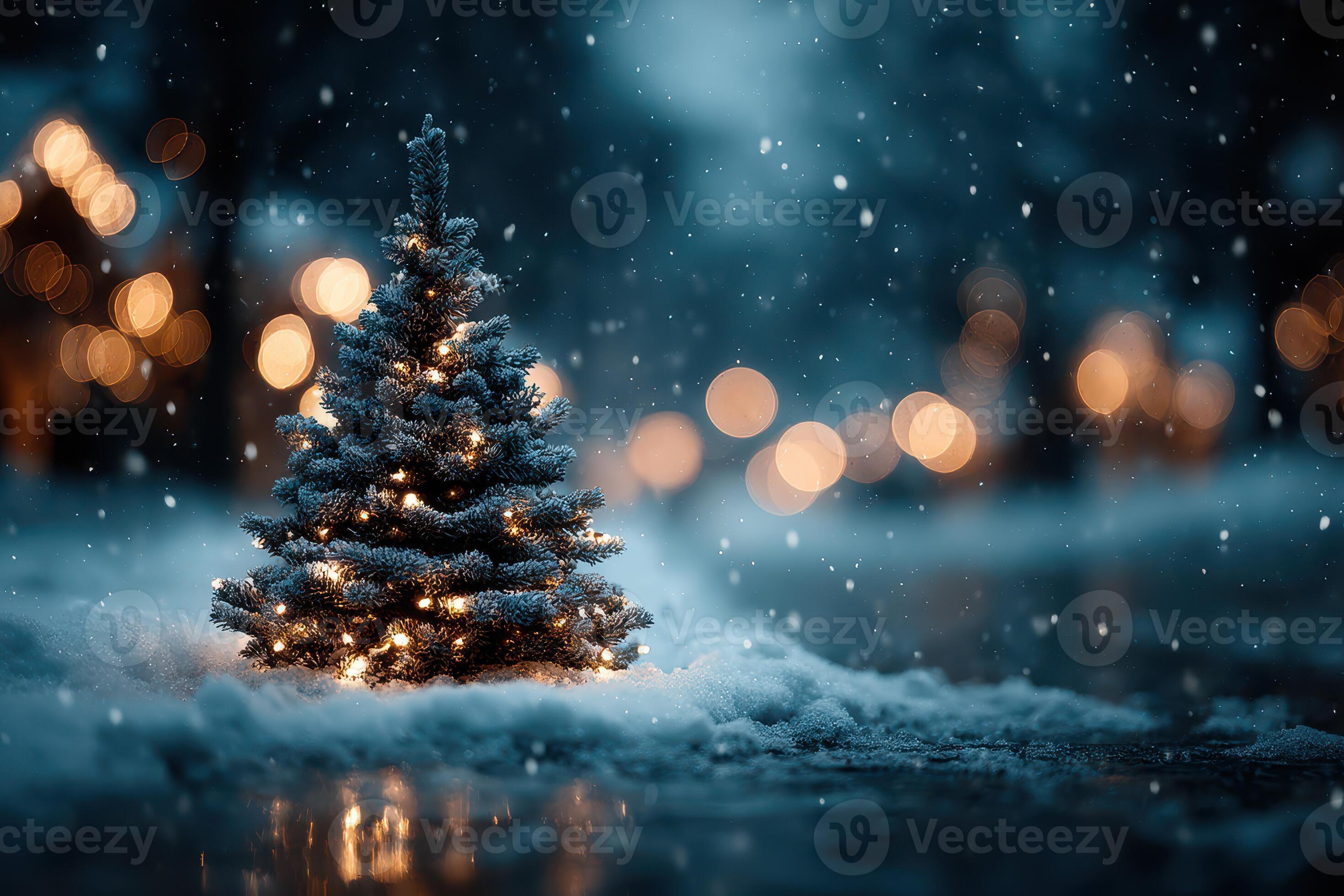 Immagine raffigurativa dell'evento